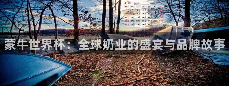 国际足联世界杯：蒙牛世界杯：全球奶业的盛宴与品牌故事