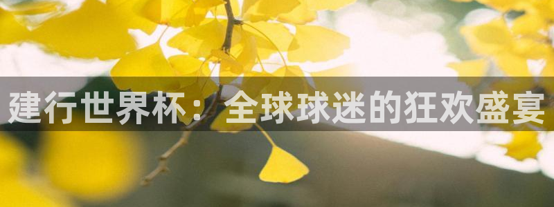 2026年足球世界杯赛程时间表：建行世界杯：全球球迷的狂欢盛宴