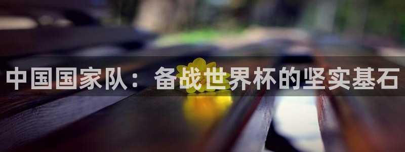 女足世界杯直播：中国国家队：备战世界杯的坚实基石