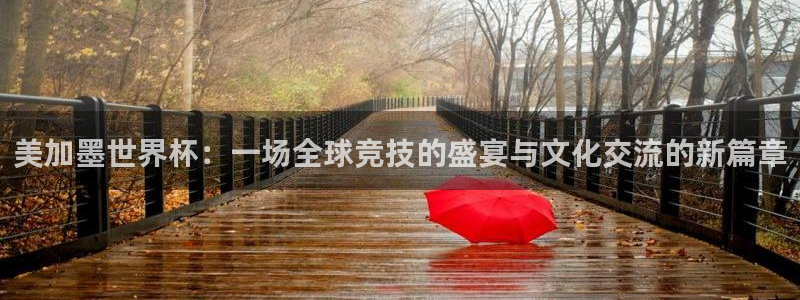世界杯直播网站：美加墨世界杯：一场全球竞技的盛宴与文化交流的新篇章