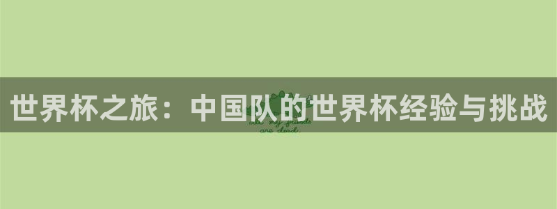 世界杯 2026：世界杯之旅：中国队的世界杯经验与挑战
