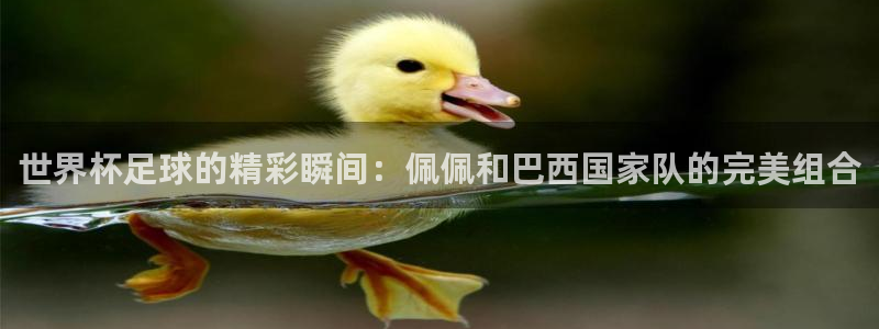 世界杯今年：世界杯足球的精彩瞬间：佩佩和巴西国家队的完美组合
