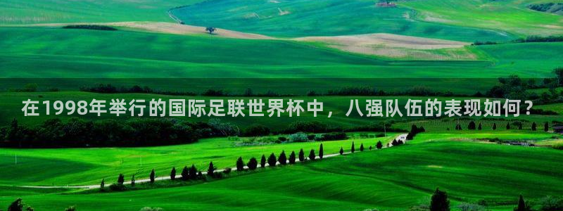 世界杯决赛圈球队：在1998年举行的国际足联世界杯中，八强队伍的表现如何？