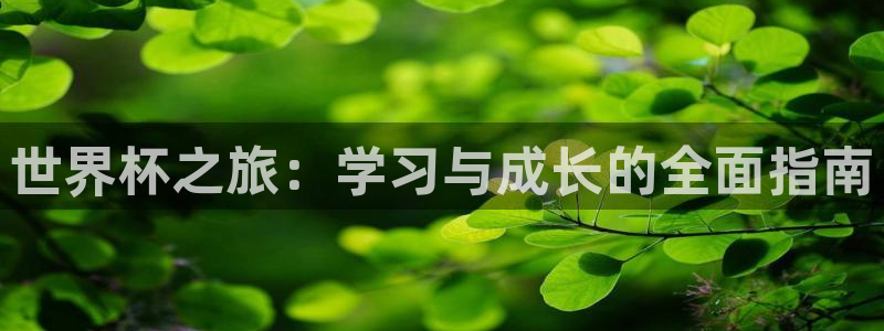 2026世界杯买球：世界杯之旅：学习与成长的全面指南