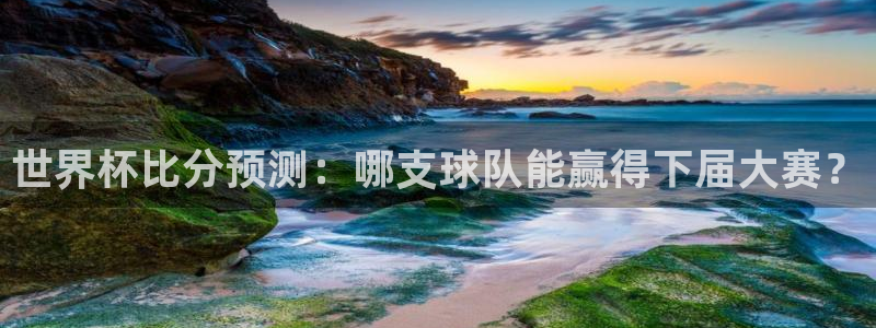 足球世界杯：世界杯比分预测：哪支球队能赢得下届大赛？