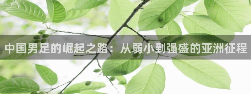 2026男足世界杯赛程：中国男足的崛起之路：从弱小到强盛的亚洲征程