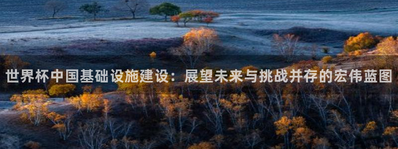 世界杯预选赛亚洲：世界杯中国基础设施建设：展望未来与挑战并存的宏伟蓝图