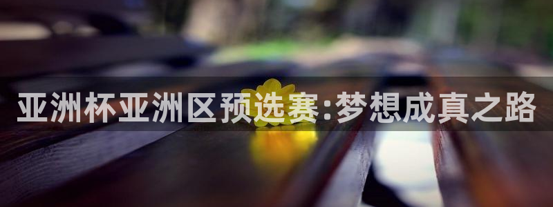 世界杯预赛赛程：亚洲杯亚洲区预选赛:梦想成真之路