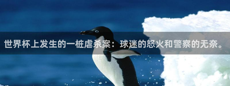 世界杯48支球队赛制：世界杯上发生的一桩虐杀案：球迷的怒火和警察的无奈。