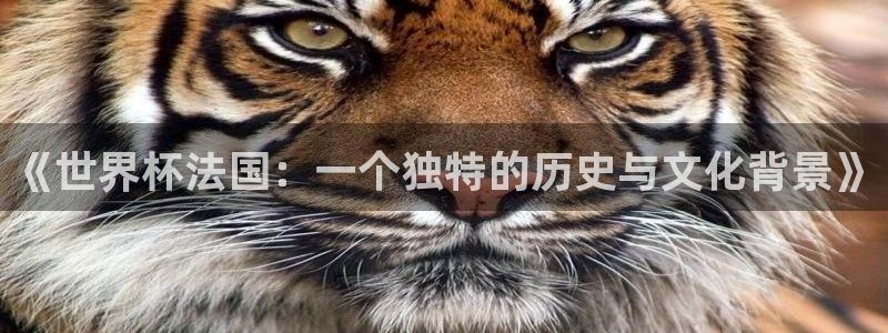 2026足球世界杯：《世界杯法国：一个独特的历史与文化背景》