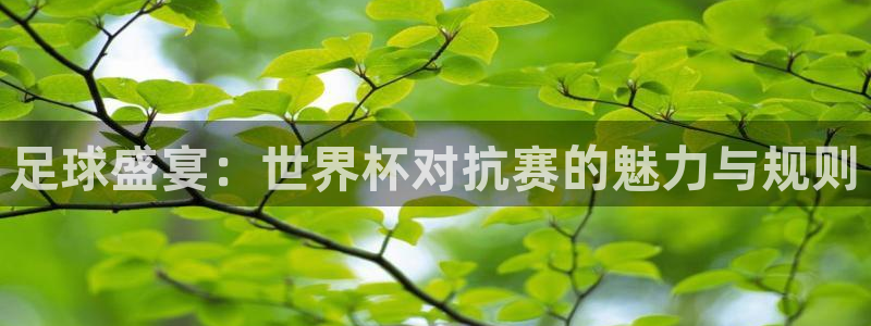 世界杯预选赛欧洲：足球盛宴：世界杯对抗赛的魅力与规则