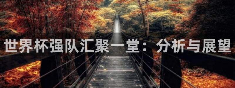 世界杯2026赛程：世界杯强队汇聚一堂：分析与展望